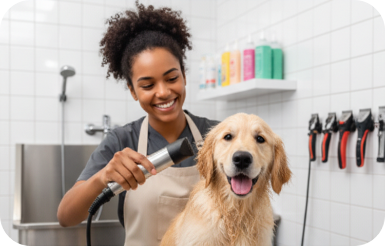Veterinary Integration